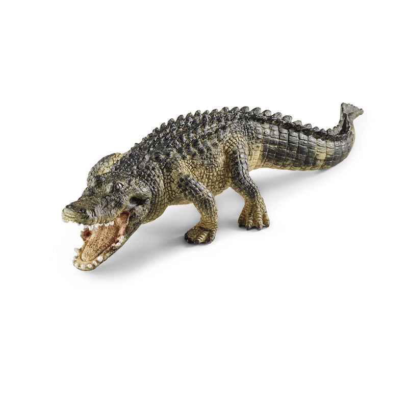 Schleich - Alligator